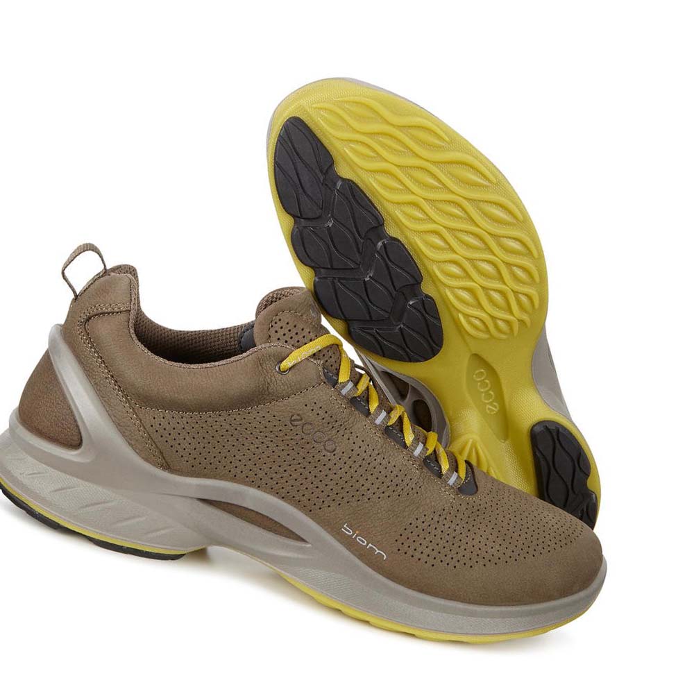 Ecco Mens Biom Fjuel Perf Hiking & Trail Herre Brune | NO 568JPQ